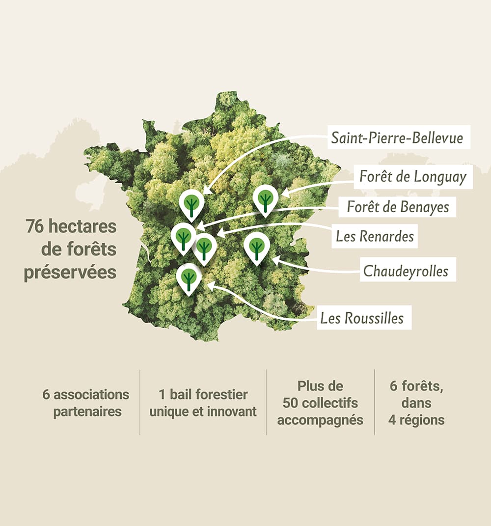 Carte des forêts